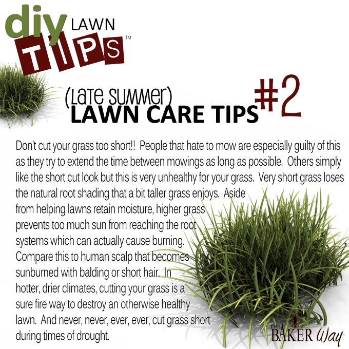 LATE SUMMER LAWN CARE TIPS #2