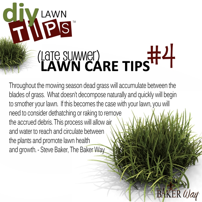 LATE SUMMER LAWN CARE TIPS #4