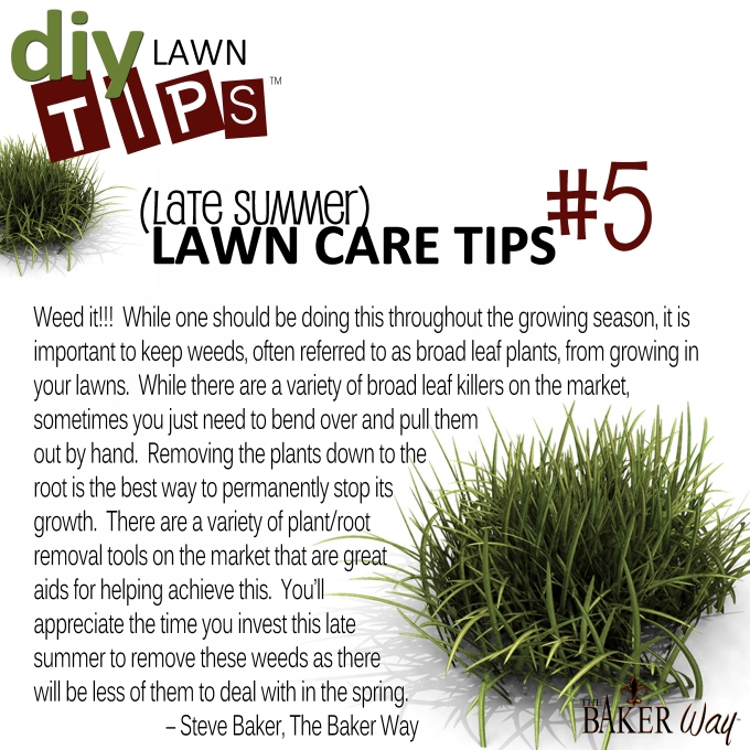 LATE SUMMER LAWN CARE TIPS #5