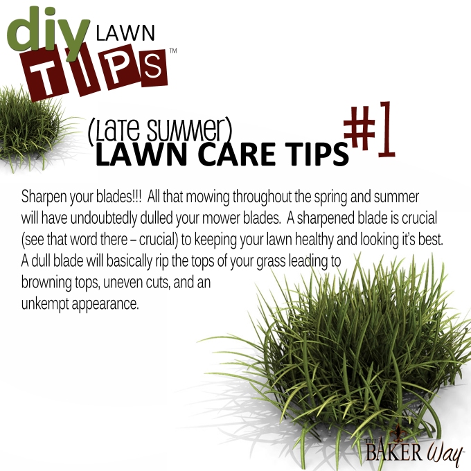 LATE SUMMER LAWN CARE TIPS